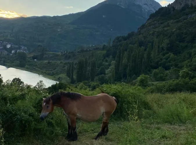 Bocale 3000 ホテル 3*